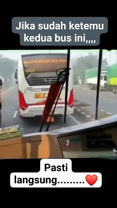 Bus sugeng rahayu klo ketemu bus mira di jalan #sugengrahayu #sugengrahayucepat  #bus #mira #cepat