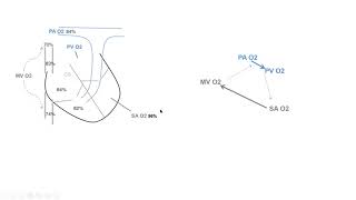 Hemodynamics 3: Shunt hemodynamics, case studies- Elias Hanna, Univ Iowa