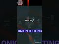 Secret of onion routing #onion #onionrouting #security #shorts #inshot