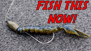 You NEED To TRY THIS Texas Rig for Summer Bass Fishing! 