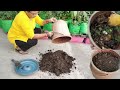 Turning kitchen waste into compost composting with 45 days update composting