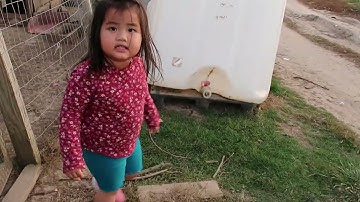 me nyuam hmoob mekas mus saib hmoob li qaib pem teb