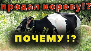 Зачем корову продал???