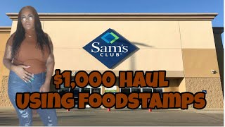 Massive $1,000 haul using monthly foodstamps.