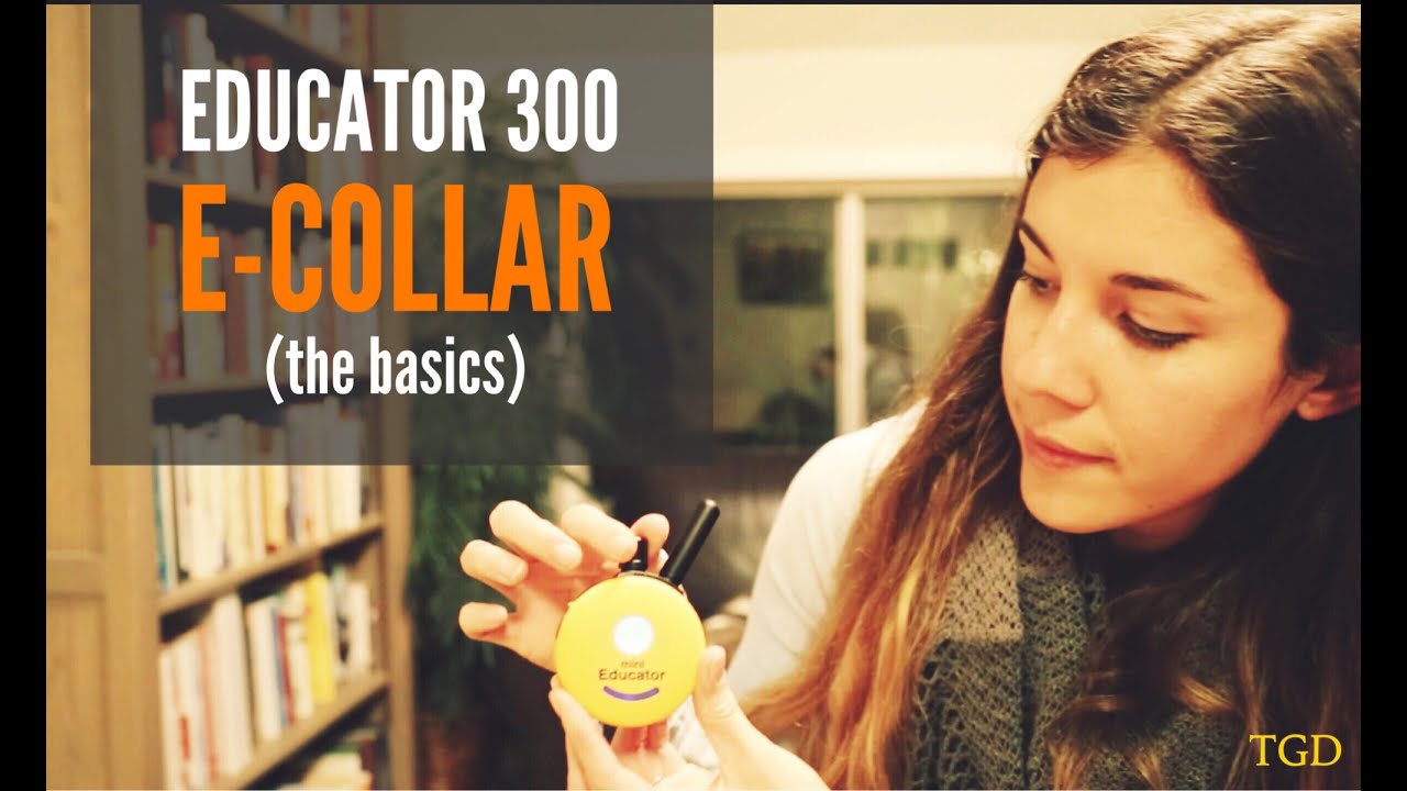 E-Collar Technologies Educator Mini 300 Set Up - YouTube