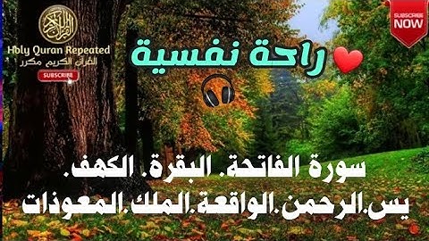 سورة الفاتحة. البقرة. الكهف. يس.الرحمن.الواقعة.الملك.المعوذات بصوت أحمد العجمي البركة وسعة الرزق