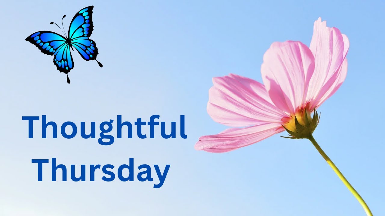 Thoughtful Thursday - Renewing The Mind Part 4 - YouTube