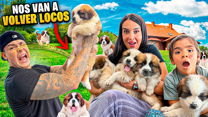 24 horas siendo PAPÁS de cachorros🐶¡ESTO PASO!😱