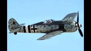 How Many WW2 Fighters Survive in 2023?