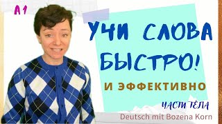 🇩🇪 Wortschatz * Сегодня выучим ещё 10 слов (части тела)