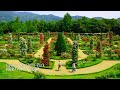 Too beautiful rose garden! A faithful reproduction of the Bagatelle Park in Paris!