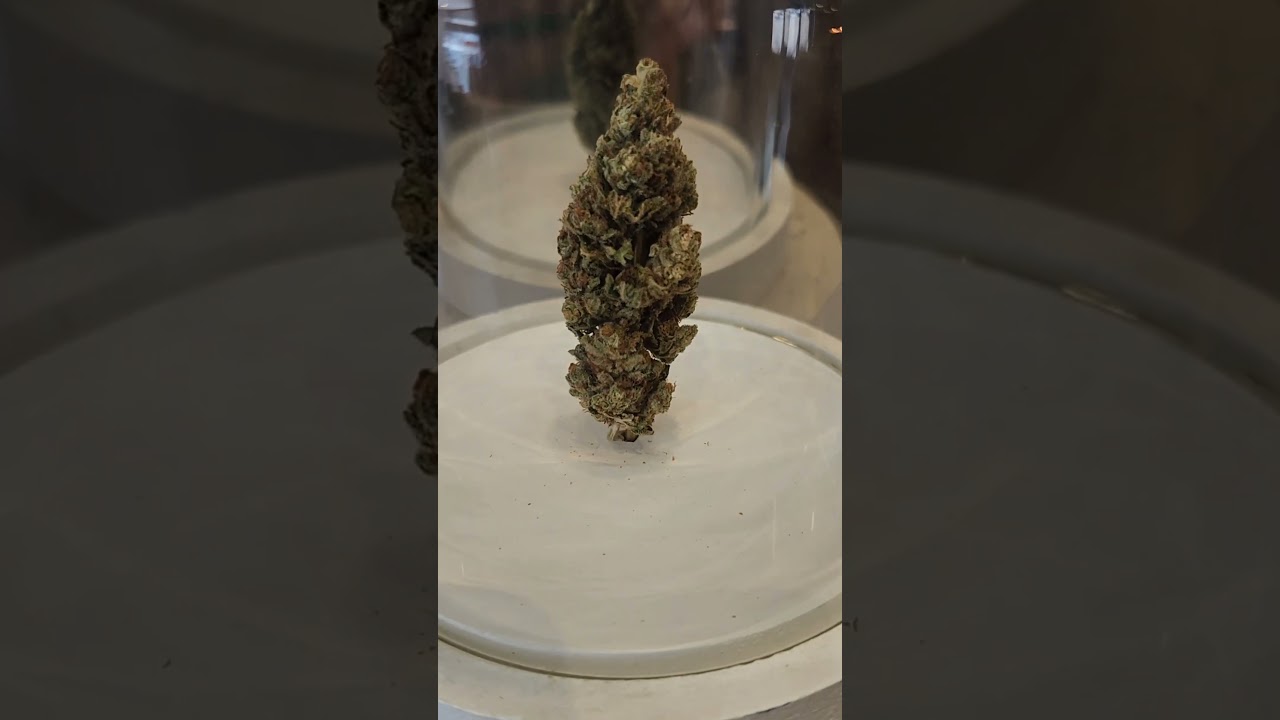 Have you ever been to 