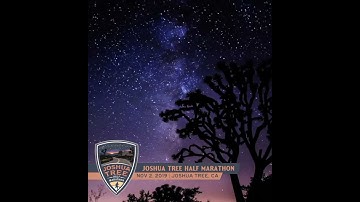 2019 Joshua Tree Half Marathon Square Video
