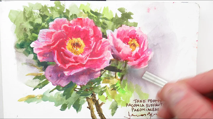 Painting Peonies with Watercolor at NYBG