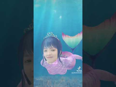 mermaid l tiktok
