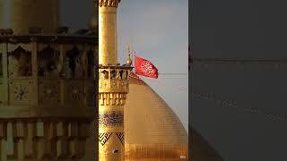 Ali Mola Ali Mola Ali Dam Dam | Powerful Sufi Kalam | Short Video 2025#shortsfeed #tiktokviral #love