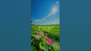 سورة الحشر الآية 19-20