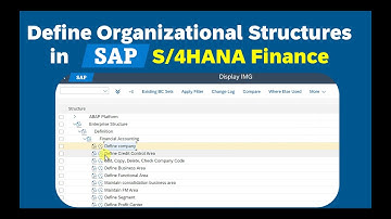 Organizational Structure in SAP S/4HANA Finance | Complete Guide | Theory & Practice