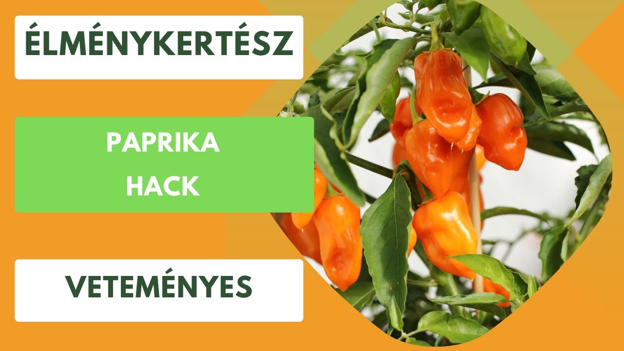 Paprika hack🫑🌶️