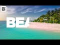 Capcut Tutorial - Text Stroke Animation (ENGLISH)
