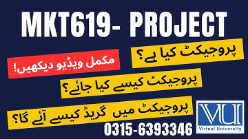 MKT619 Project 2025 #mkt619