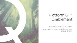 How can I create new fields and group them - Business Object Builder - Platform Q! Enablement