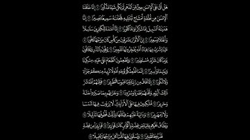 ما تيسر من سورة الانسان تلاوة جميلة و راحة نفسية