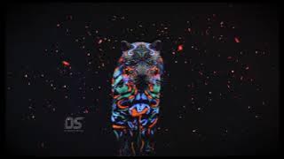 NEW TIGER DHUN || BASS BOOSTED || DJ ARVIND AUDIO  ||   🎧 #djarvindaudio