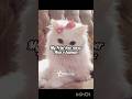 I love CATS...🐈‍⬛||@Princess-bpm||#cover #music #songcover #coversong #blackpink #aestheic