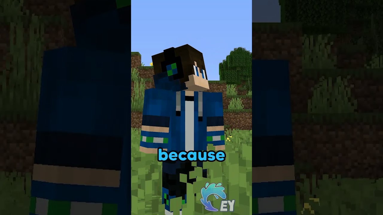 Minecraft But You Can T Say Colors 