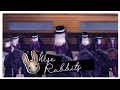 wise rabbits ─ club video