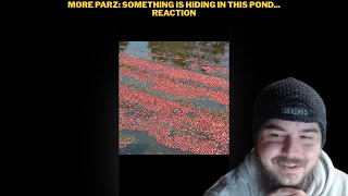 Mais Parz Algo esta escondido neste lago Reacao