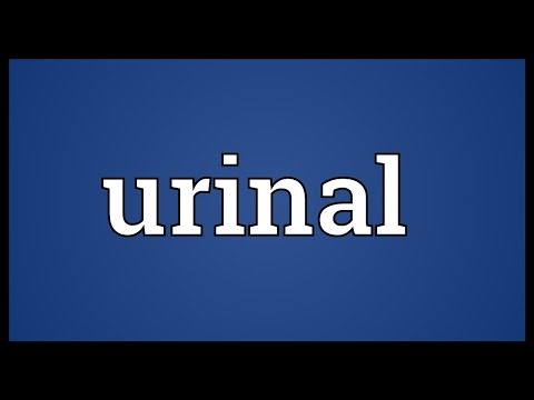 Urinal Meaning
