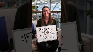 Dr. Redmond answers some burning dog parent questions in 15 seconds.