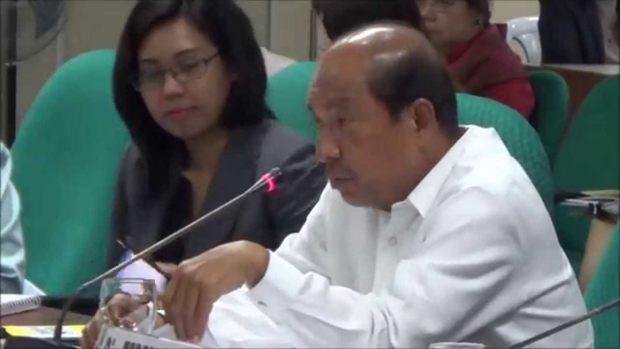Abad grilled in Senate over non-itemized budget allocation