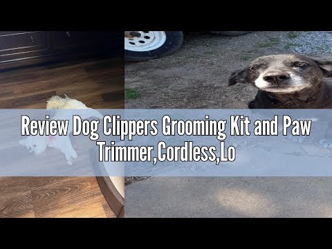 Review Dog Clippers Grooming Kit and Paw Trimmer,Cordless,Low Noise, Electric Quiet,Rechargeable, Do