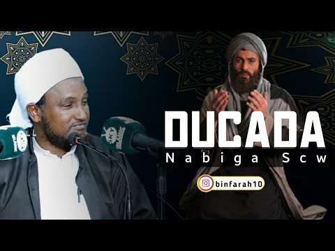 Ducada Nabiga Scw Sh Xuseen Cali Jabuuti Dhiiragaliye
