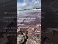 What is the pink sea foam washing up on the Fort Pierce jetty?