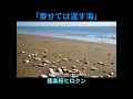 寄せては返す海②