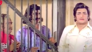 Ntr And Kaikala Satyanarayana Telugu Scene | Telugu Videos