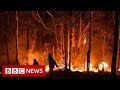New video by BBC News on YouTube