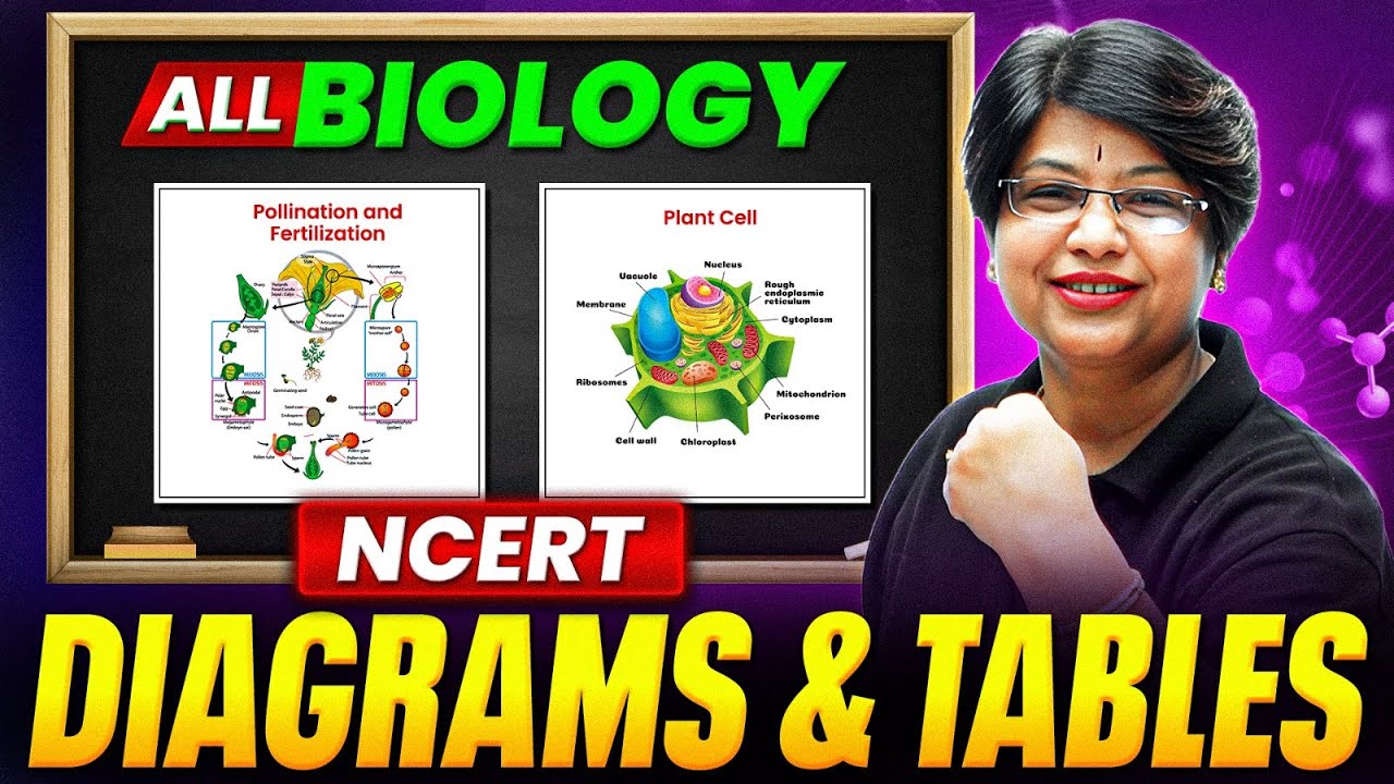Complete Biology NCERT Diagrams & Tables in One Shot🔥 | NEET 2025 - YouTube