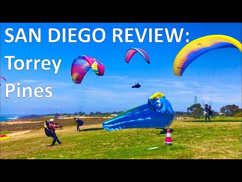 Vídeo: Torrey Pines Caminhada: Bosques, Vida Selvagem e Ondas