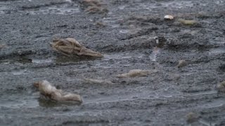 Overflowing sewers continue to impact Bluff City homeowners