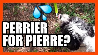No-Drip Pet Drinking Nozzle Review | EpicReviewGuys