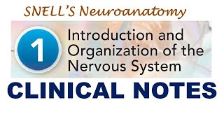 (Chp#1 CLINICAL NOTES) Introduction & Organization of Nervous System | Snell's NeuroAnatomy