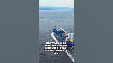 What is True and relative wind in meteorological concept for Marine students II Sailor 360 #truewind