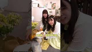 #樹林甜點咖啡廳大集合 🍰【📍Follow新北】
