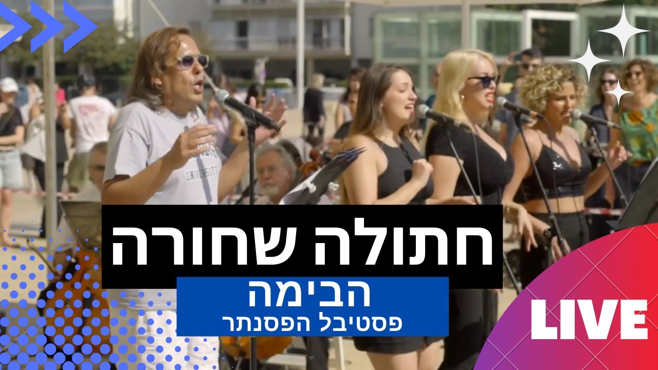 חתולה שחורה LIVE