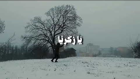 من أجمل التلاوات للشيخ ياسر الدوسري❤️❤️❤️❤️❤️